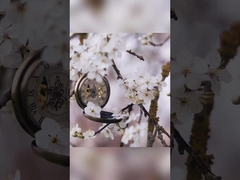 ليل روز أوسمانثوس أسنان معجون أسنان تبييض في 400 غرام من الأوراق البيضاء